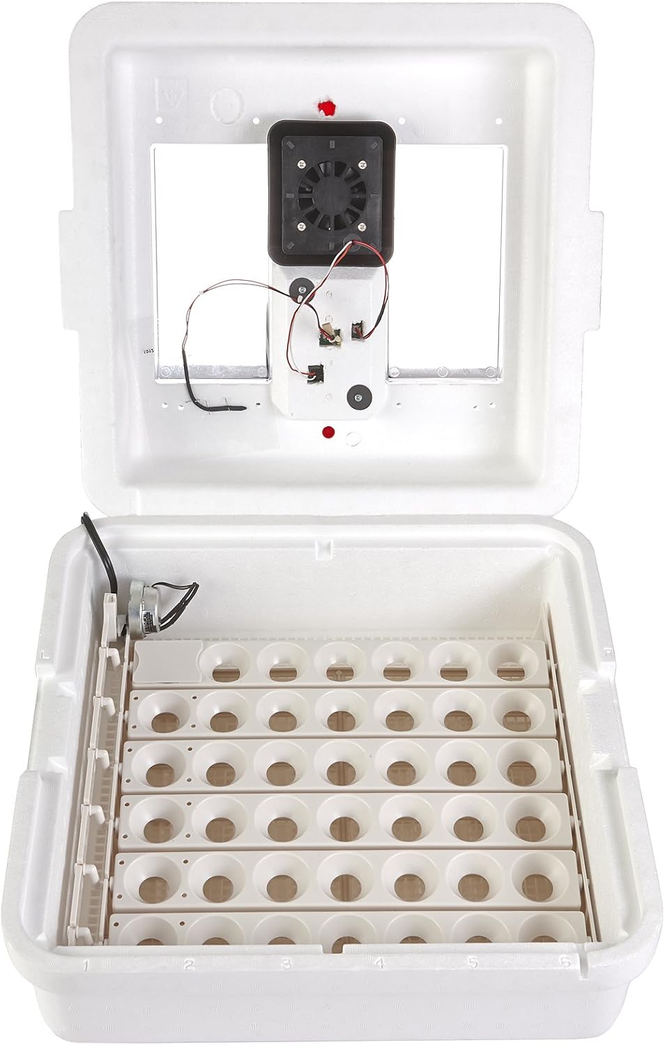Little Giant 11500 Deluxe incubator with the foam lid opened, showing the circulation fan and controller board above and the 6300 automatic egg turner seated in the base