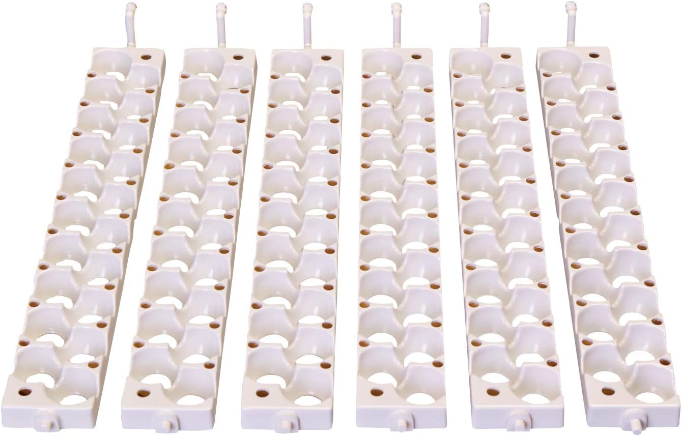 Six Little Giant 6302 quail rails standing in a row, each with twenty small egg cups for quail eggs